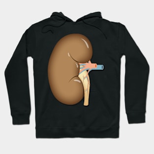 human Kidney anatomy Hoodie